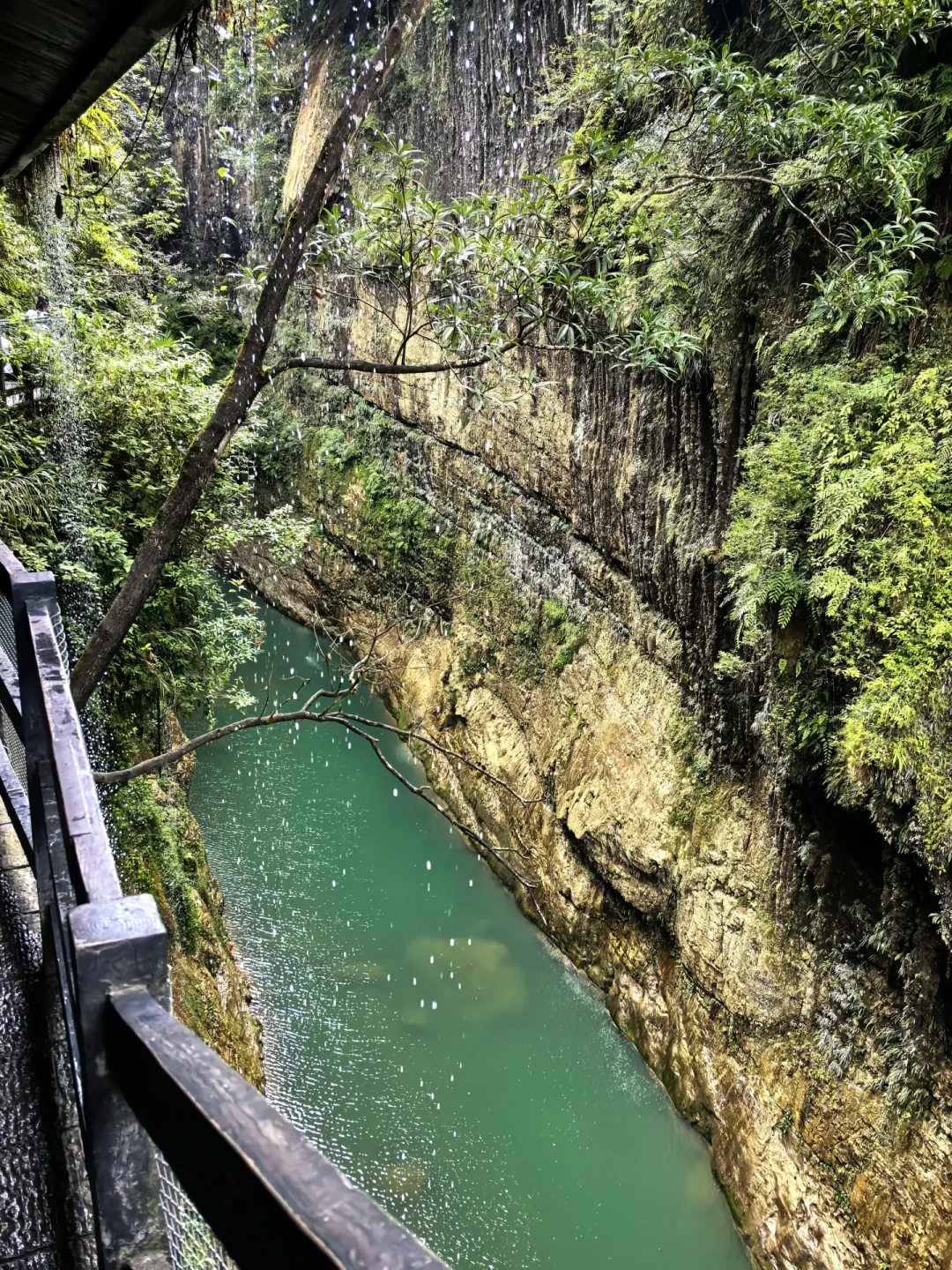 云龙地缝的骂与夸都是真的:翻完8月的帖子,谁挨骂取决于这三个动线开关