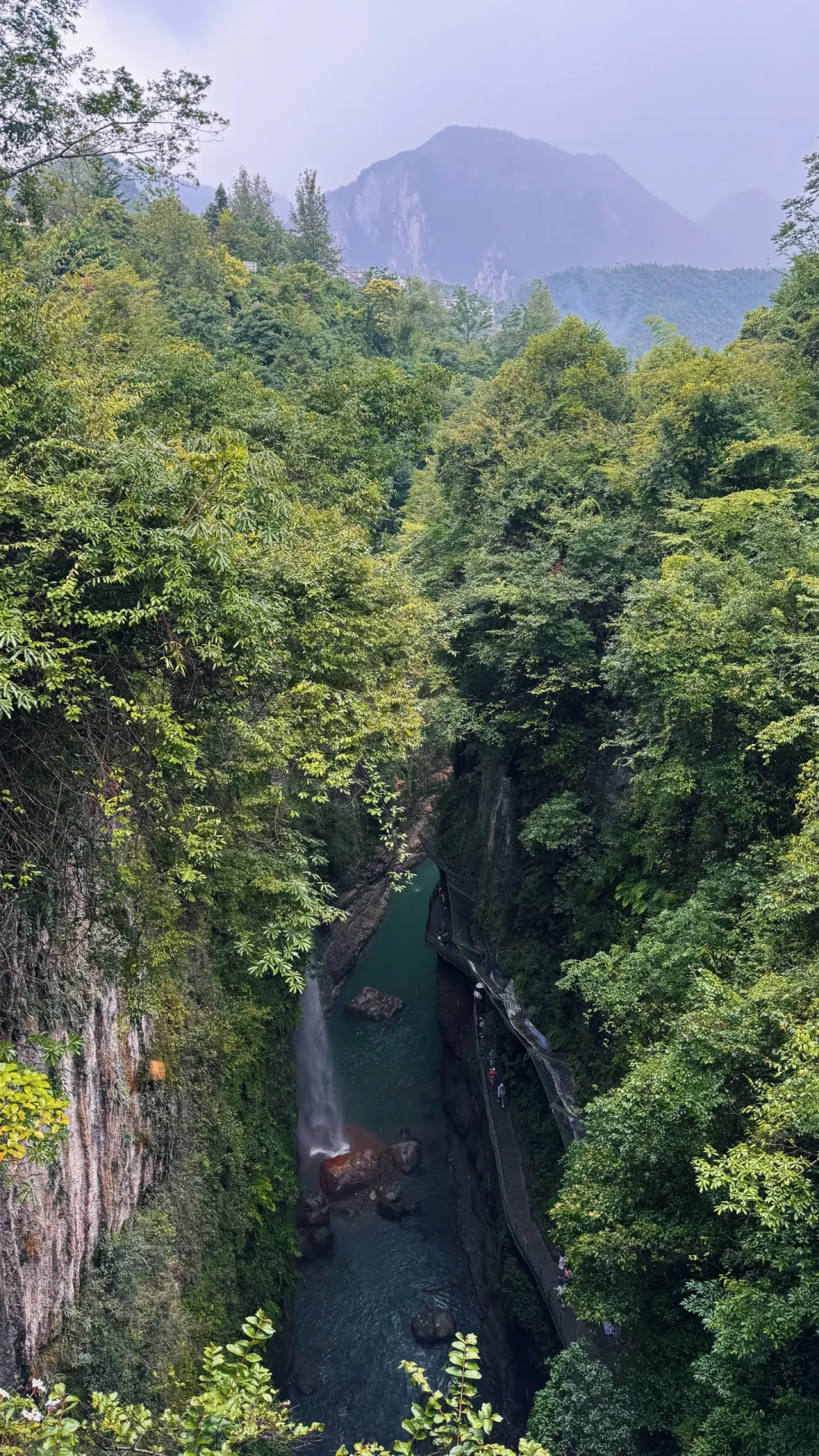 云龙地缝的骂与夸都是真的:翻完8月的帖子,谁挨骂取决于这三个动线开关