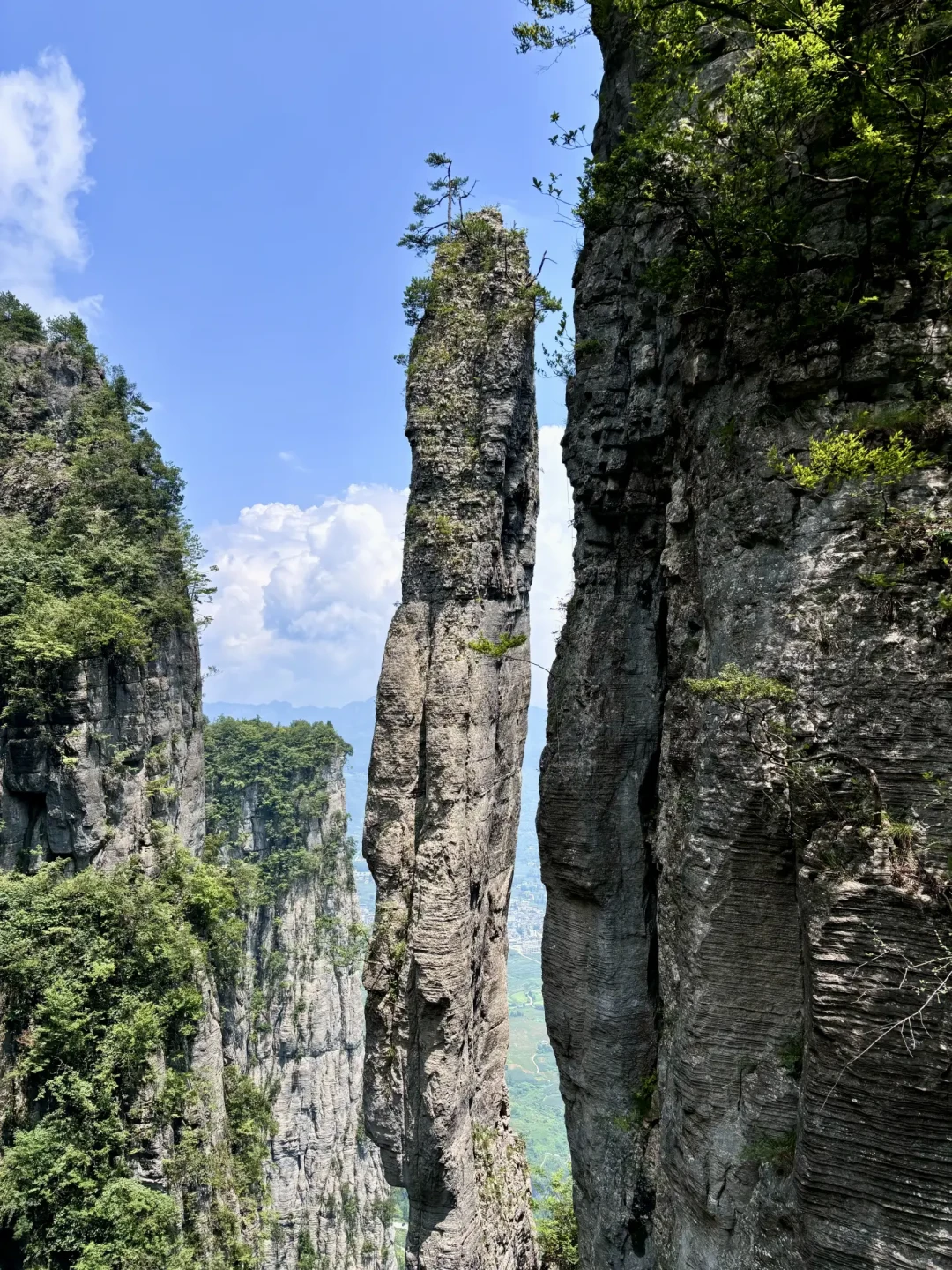 云龙地缝的骂与夸都是真的:翻完8月的帖子,谁挨骂取决于这三个动线开关