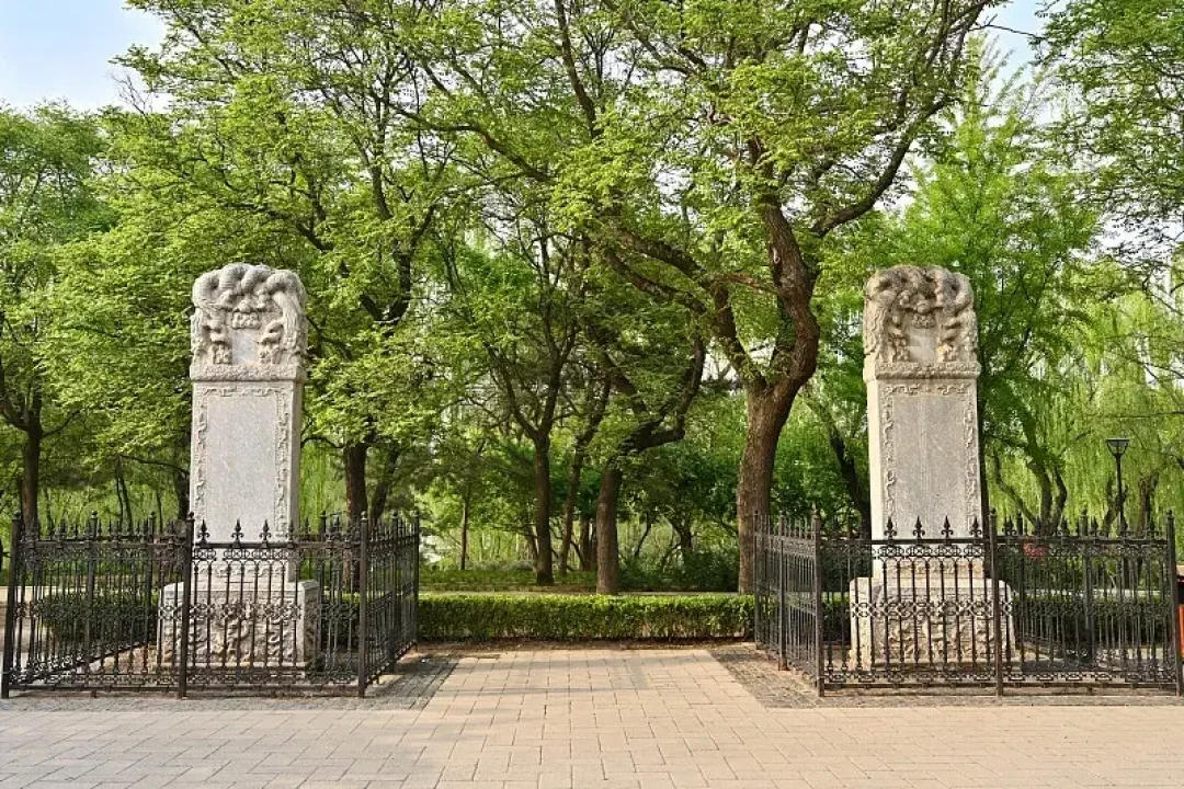 33年前赵敏说“大都等我”，张无忌为什么没去？王晶说出了真相