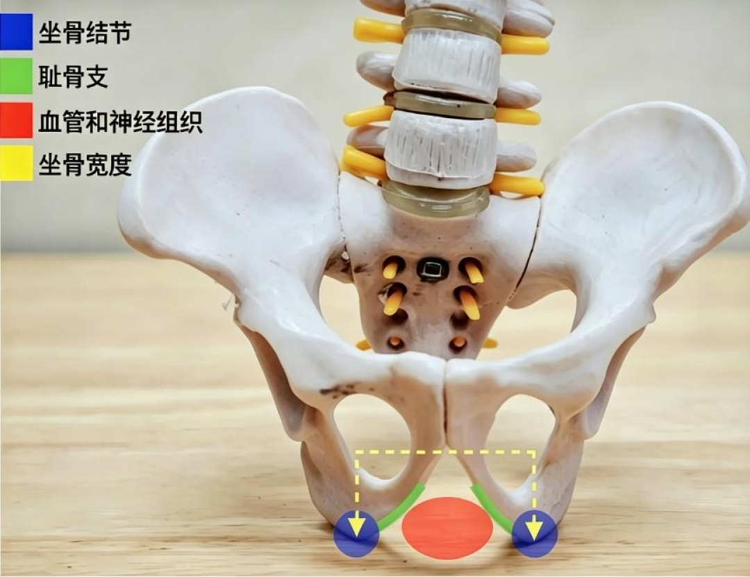 刚提车屁股就疼?看完