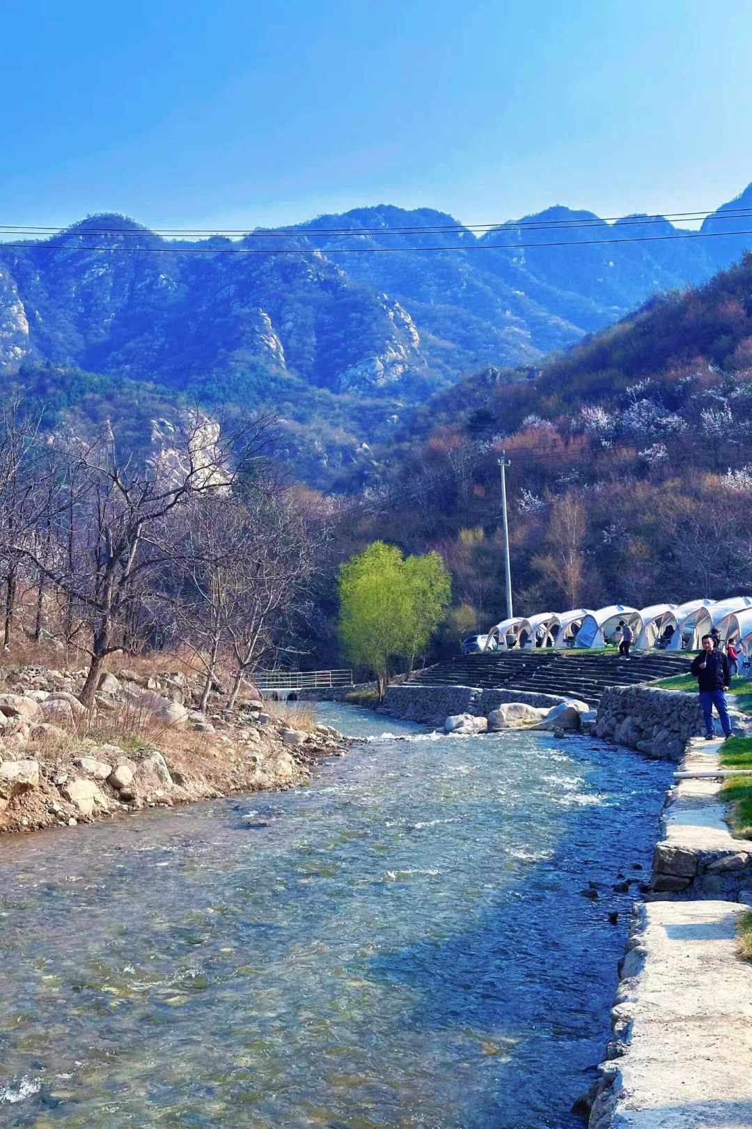 照片里全是氛围感,加炭要等一小时:翻完20多篇露营烧烤营地的避雷帖,坑基本就这几个
