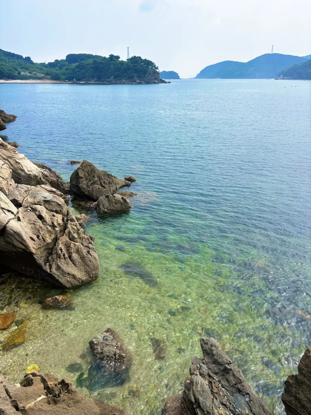 大连长山群岛扩入世界自然遗产：4962公顷核心区封闭管控，大桥通车前，今年秋天的迁徙季是最好的窗口