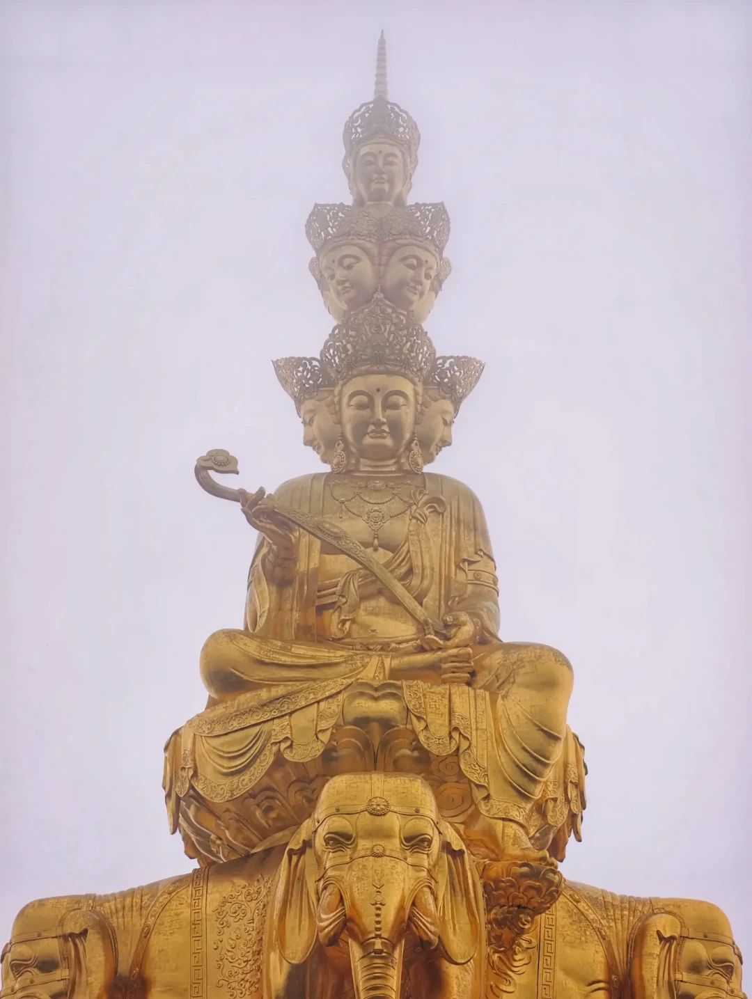 郭襄四十岁到底听到什么消息才剃了头?金庸只写了四个字,网上已经替她写出五种结局