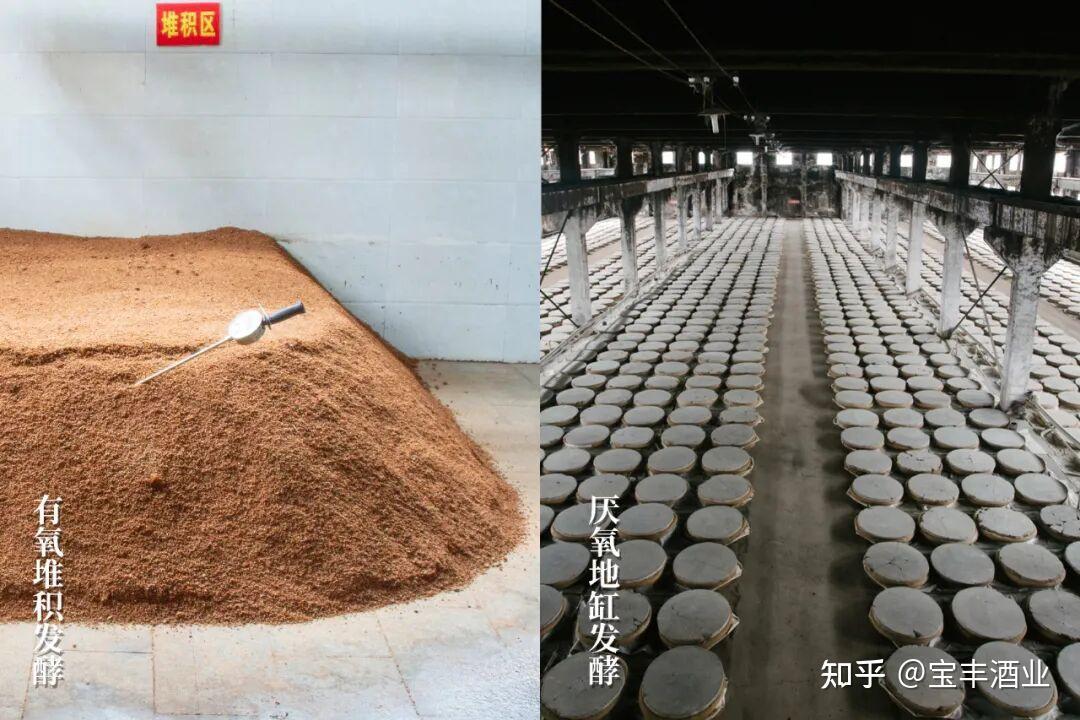 20块到40块,宝丰大曲居然有6个版本:翻完全网测评,我把该买、该避、该囤的都捋出来了