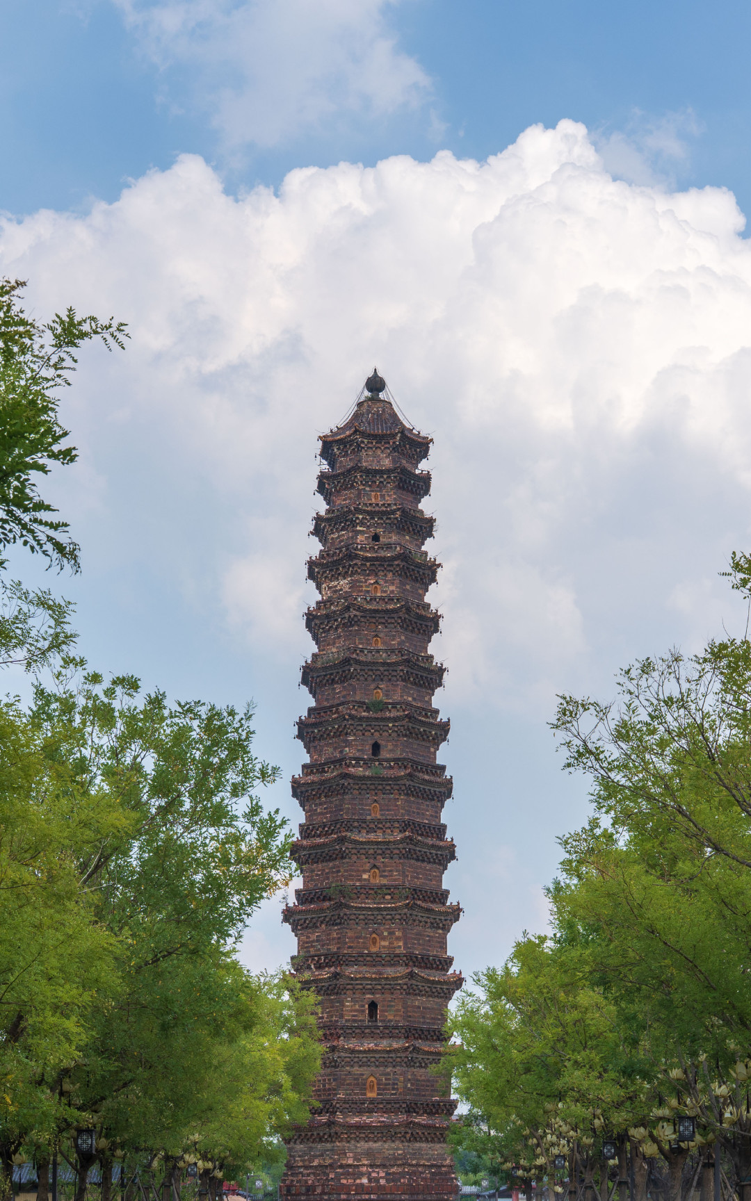 地理课本上那座铁塔,早就不让登了:但现在背《爱莲说》能免票,30元门票能玩三天