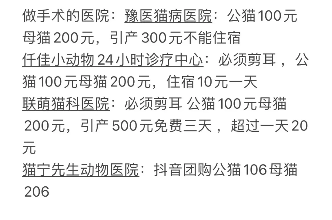 “投喂没有绝育的流浪猫就是作恶”？这场5000人吵翻的争论，我看完三方说法，整理出判断标准和行动优先级