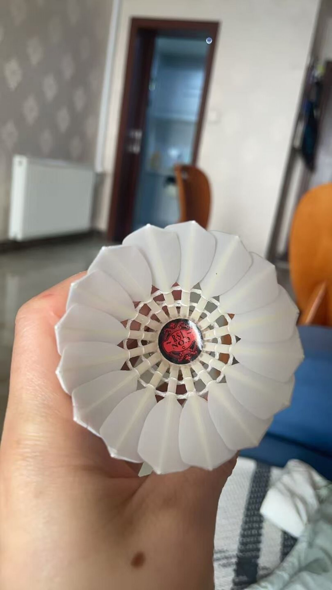 30款羽毛球24款不合格,李宁红双喜上榜:亚狮龙降价潮里捡便宜,先看这份比较试验