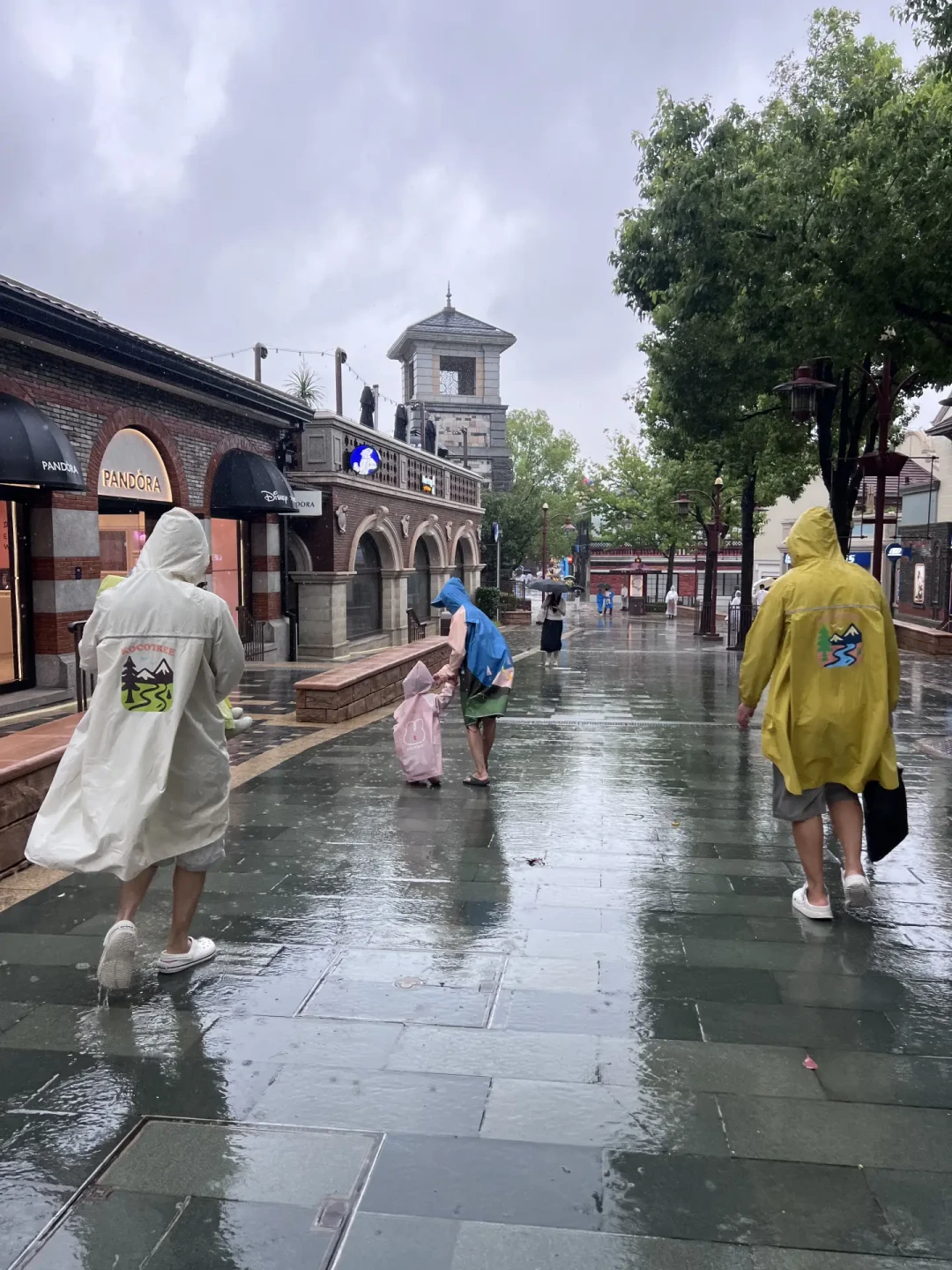 台风“沙德尔”和“白海豚”同一个登陆点,这次上海乐园却没翻车:对完8月9-10日的闭园记录和今天的现场实况,手里有8月29到9月5日票的,按票种做决定