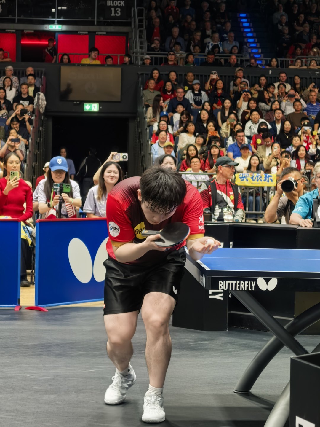 樊振东昨晚官宣海飞丝首席代言人:把他手上16个代言盘了一遍,该买、该等、该别碰溢价的都整理好了