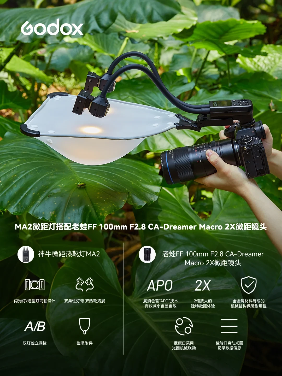 微距摄影最难的从来不是镜头:神牛MA2今天发布还联动了老蛙,我把30元到+618元的6条补光路都理清了