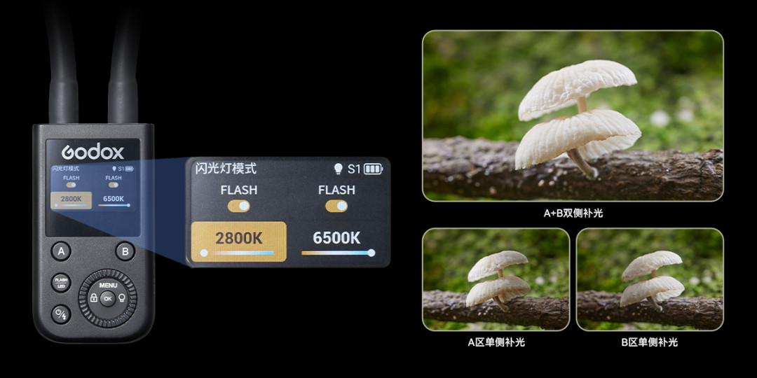 微距摄影最难的从来不是镜头:神牛MA2今天发布还联动了老蛙,我把30元到+618元的6条补光路都理清了