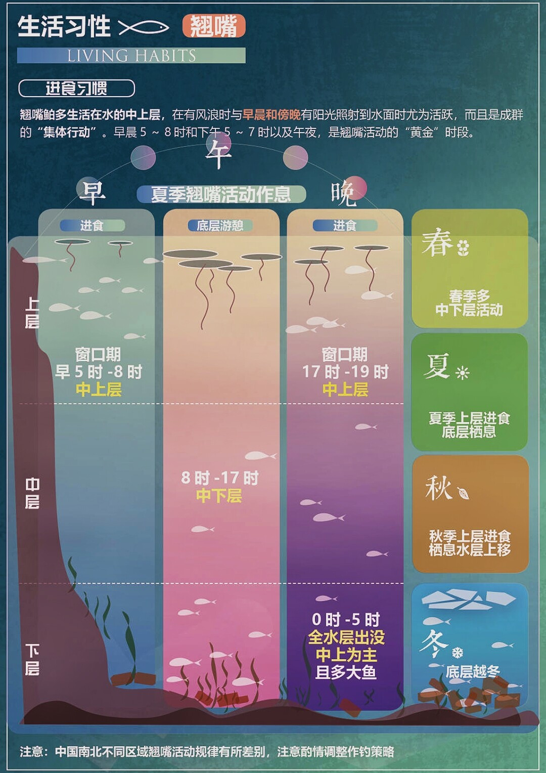白天抛一千竿没口,傍晚6点却连竿:夜钓路亚翘嘴的假饵分三派,我一次捋清楚