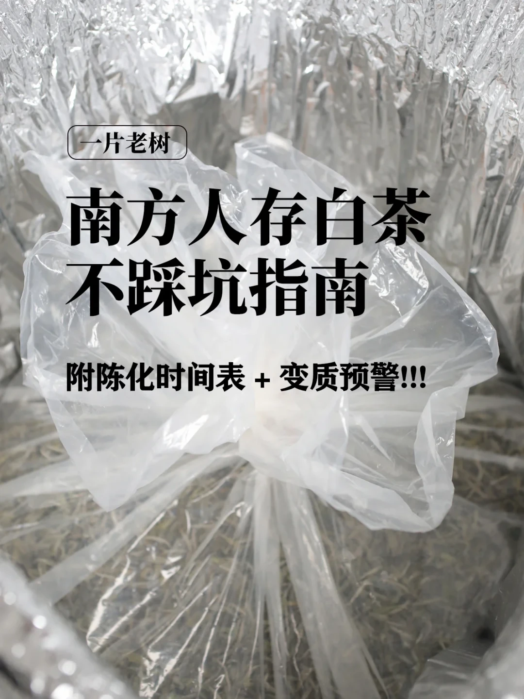 白茶“长期存放”该改改说法了:保质期新规已落地,罐里那点白毛是霉还是毫,日期说了不算