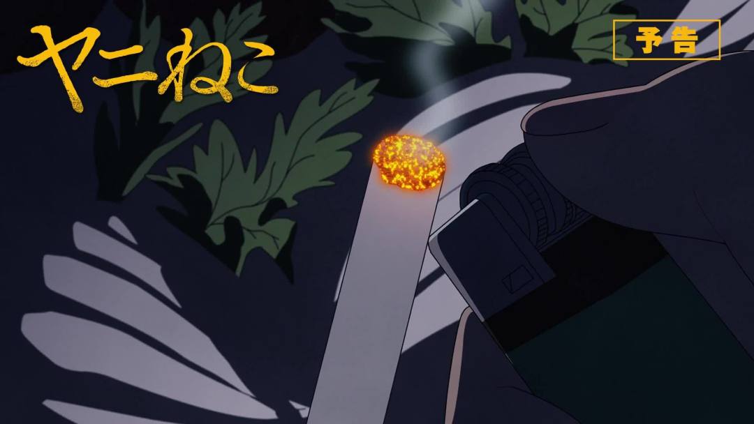 7月番进入下半场,这届