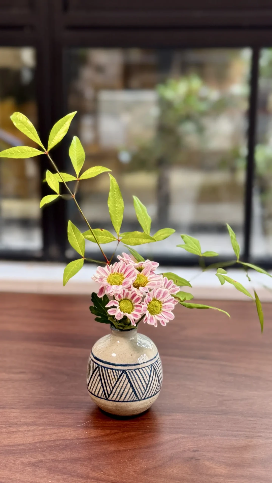 第三个台风扫过浙江:盆花被风雨折腾完,按这个顺序救——先别施肥、别晒、别急着剪