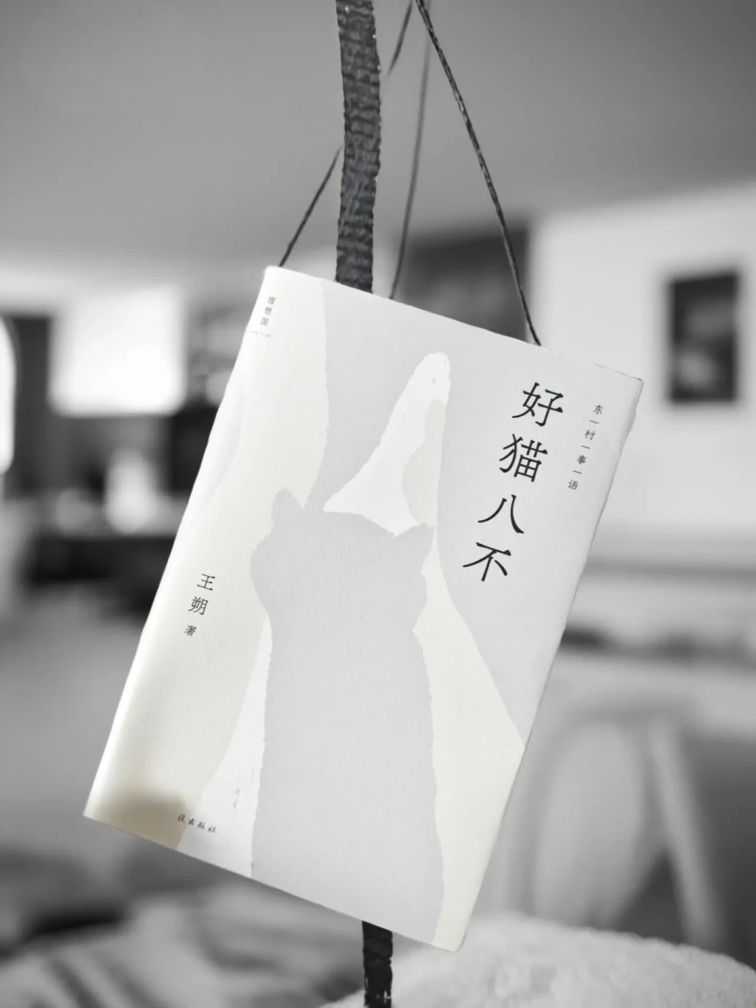 王朔