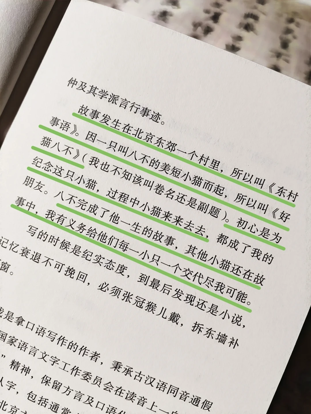 王朔