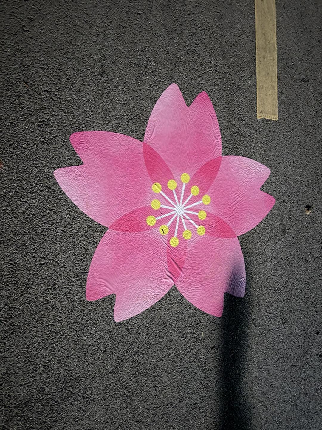 《桃花坞6》收官9条告别帖盘点:评论最多的不是老坞民,秘密在徐若晗的14种