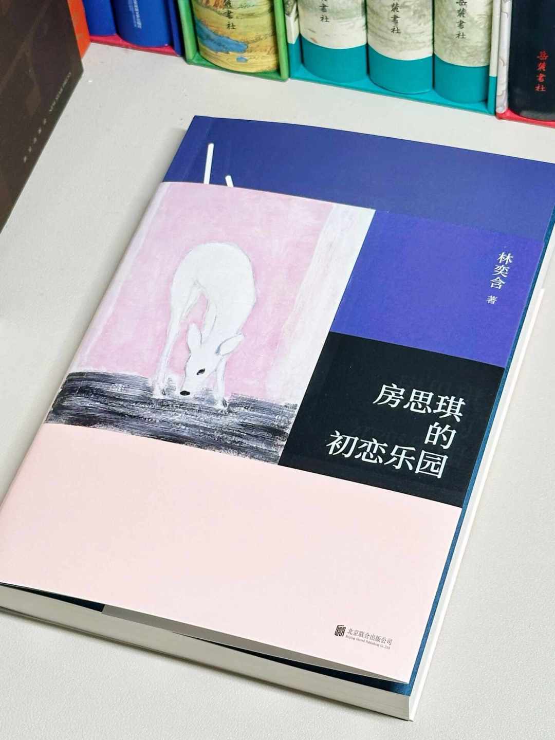 想读《房思琪》又怕后劲太大?先看完这份指南再决定买不买