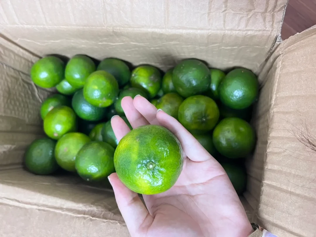“头采三花青”预售比开摘还早:柑农自己都不囤的青皮,凭什么卖出“头茬珍品”价