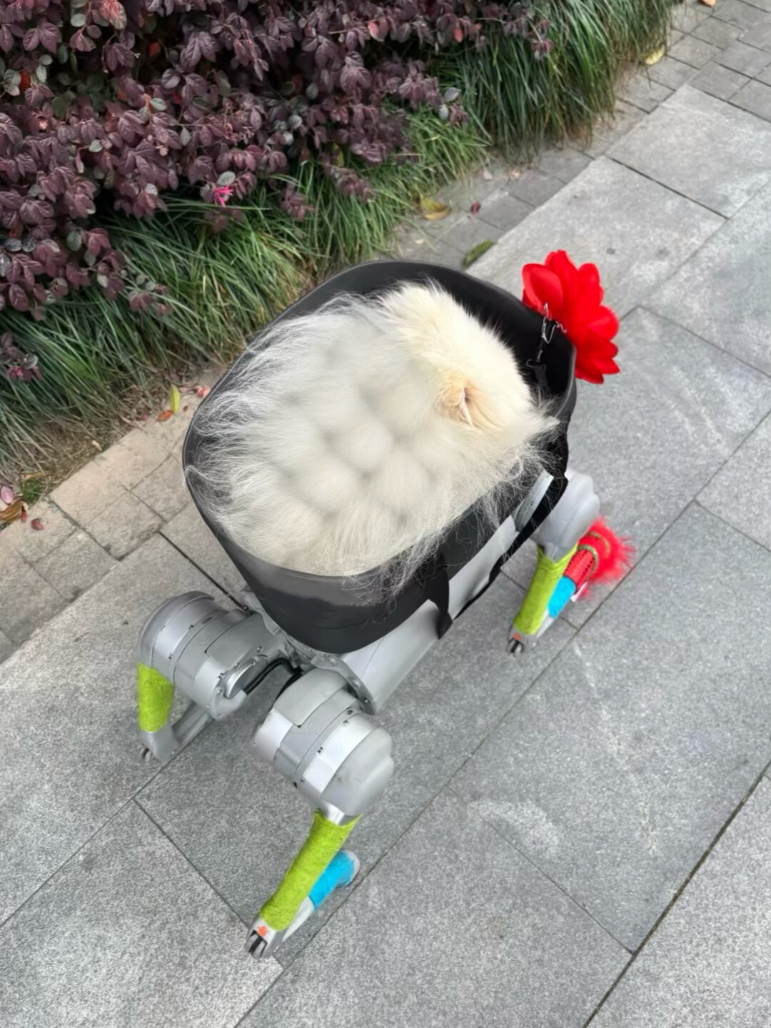 浙大机器狗