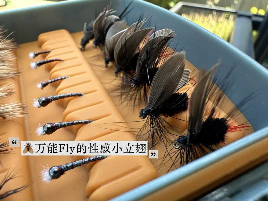 飞钓的“最高境界”也是最容易空军的陷阱:翻完最近全网干蝇帖,什么时候该死守、什么时候换若虫,就看这3个信号