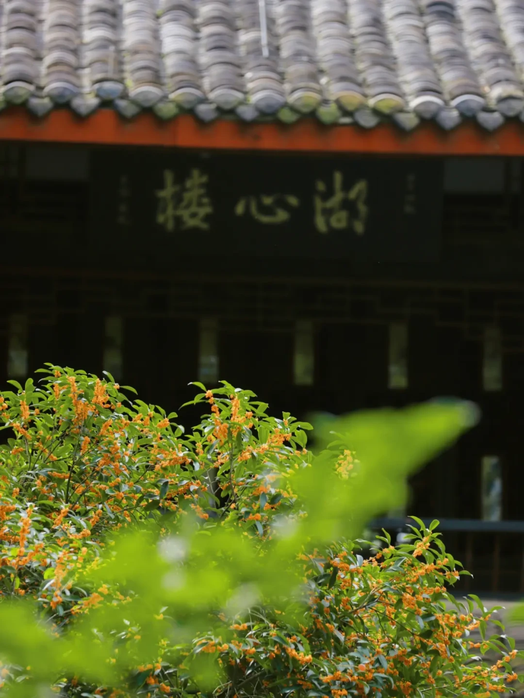 有人花5000元充值「闻香」,有人花3999元「开天眼」:鼻子这门疗愈生意,哪些钱值得掏