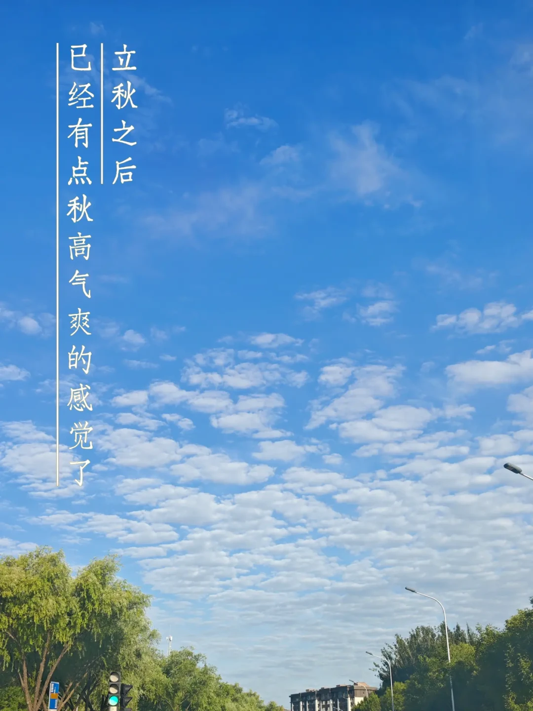 日常5块一包、大促3块一包:治光师挂耳全网实喝口碑扒完,风味怎么选、什么价囤
