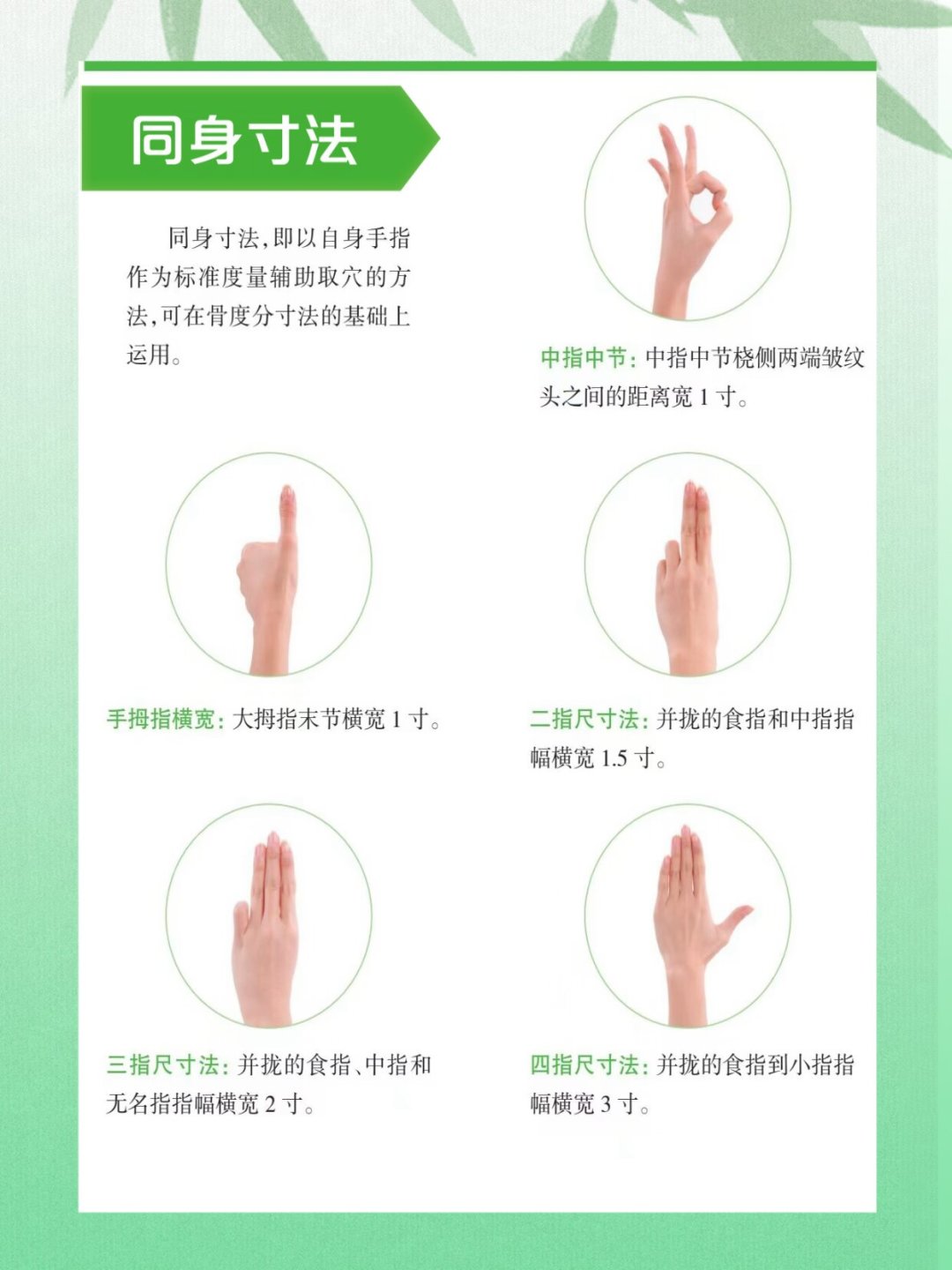 穴位图上的“寸”不是拿尺子量的:存了图却按不准的人,看这篇找穴自查