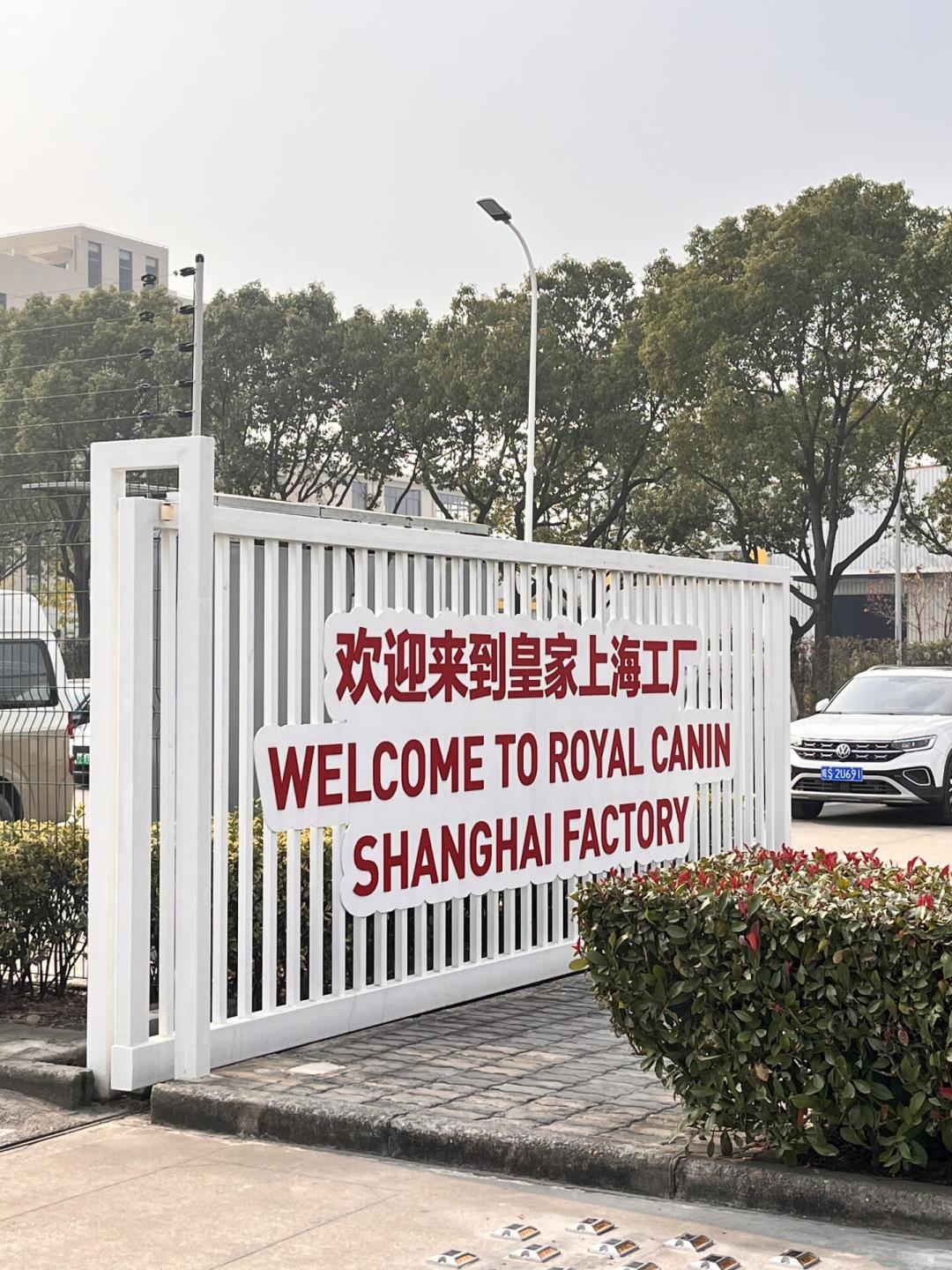 网上骂它配方垃圾，兽医却还在开：皇家猫粮5大争议，逐条对质