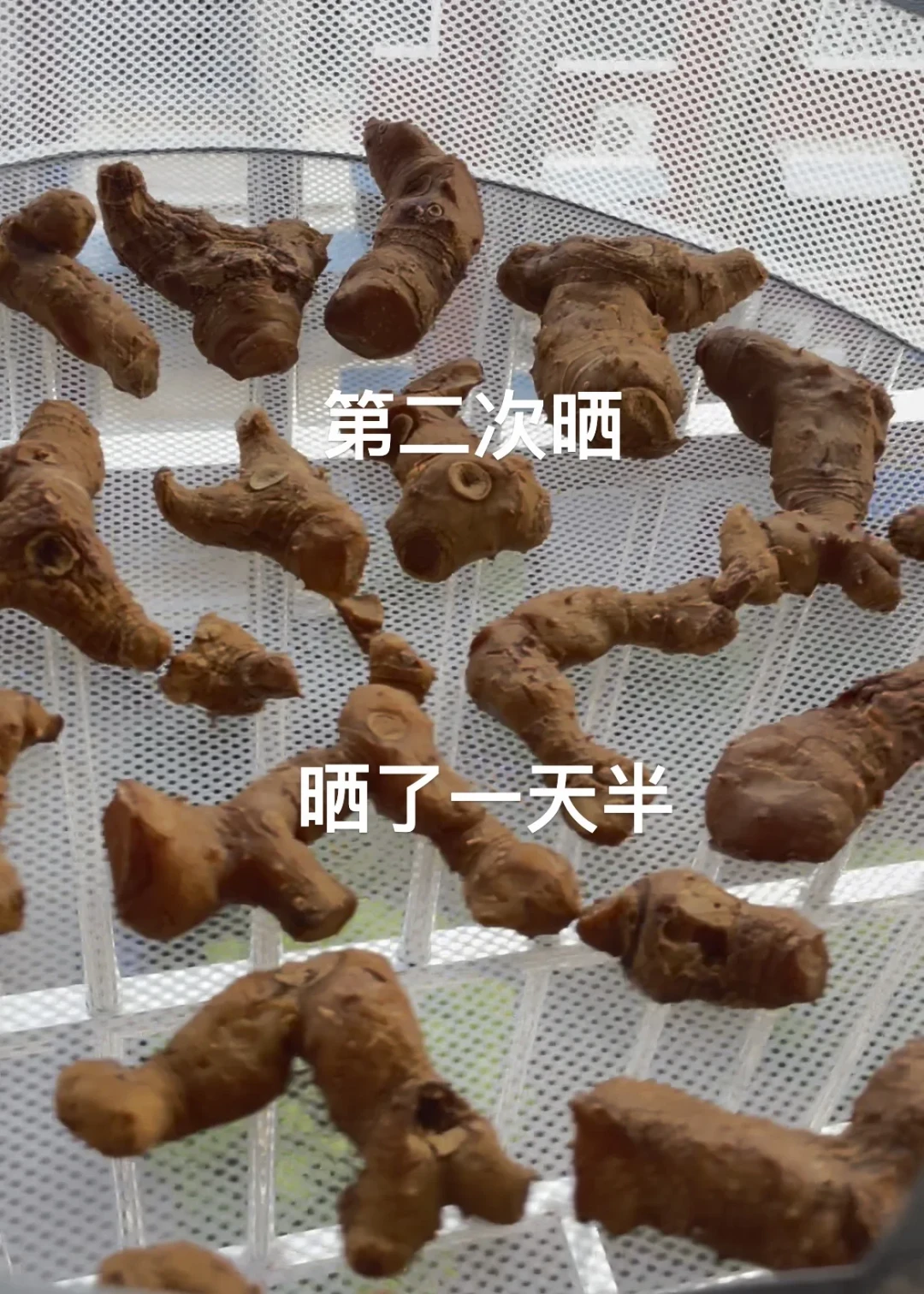 “九蒸九晒”假货满天？不如自己动手——先算清这笔账、迈过四道坎再开工