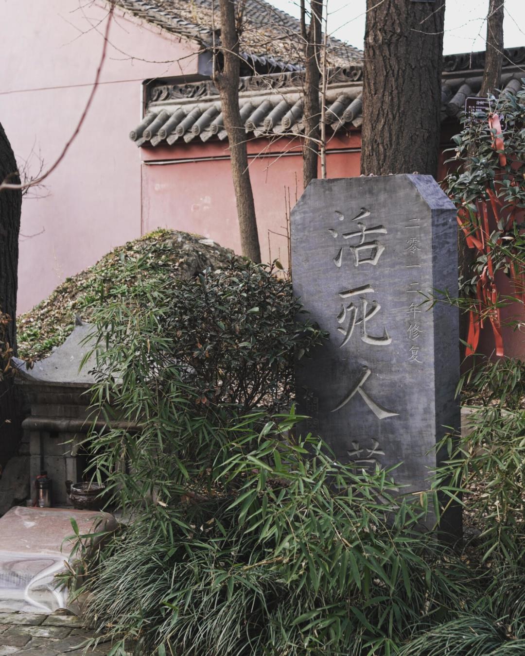 小龙女站队吵成了产业:知乎14个问题1690万浏览,我把两边的