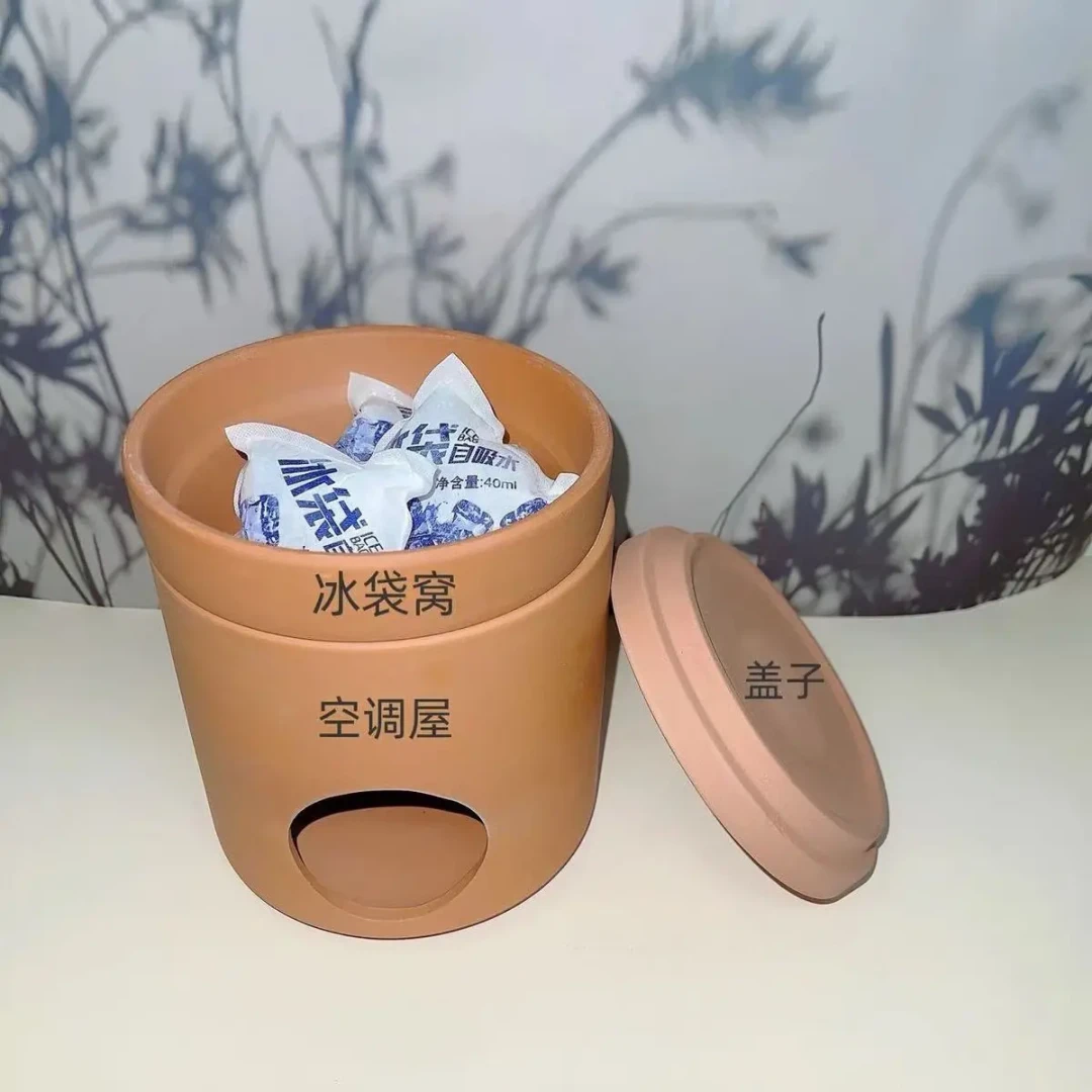 暑假买的仓鼠,天还热着:开学前,把这笔降温账和避坑清单算清楚
