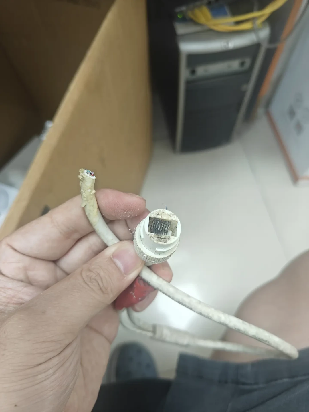 沙德尔登陆,三个台风接连砸在玉环同一个街道:我翻了几十篇户外摄像头被吹走、被泡坏的维修记录,发现大多栽在同一件事上