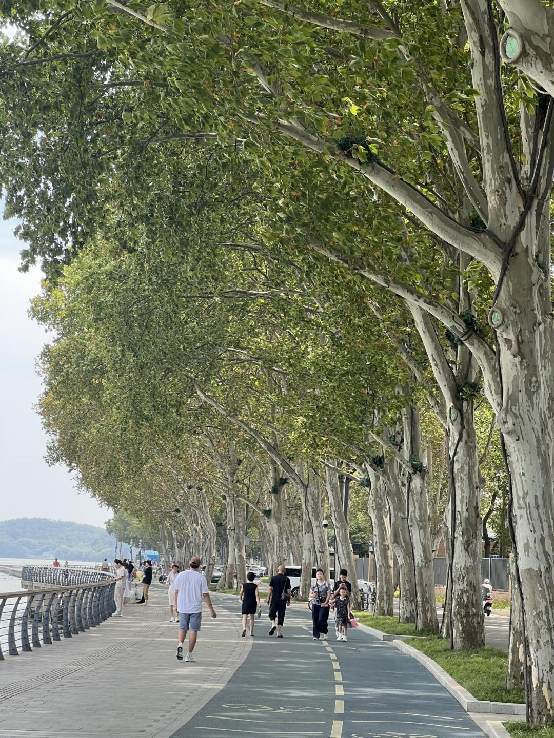 9月练心肺,别从波比跳开始:零基础的四步路径和三条停训红线