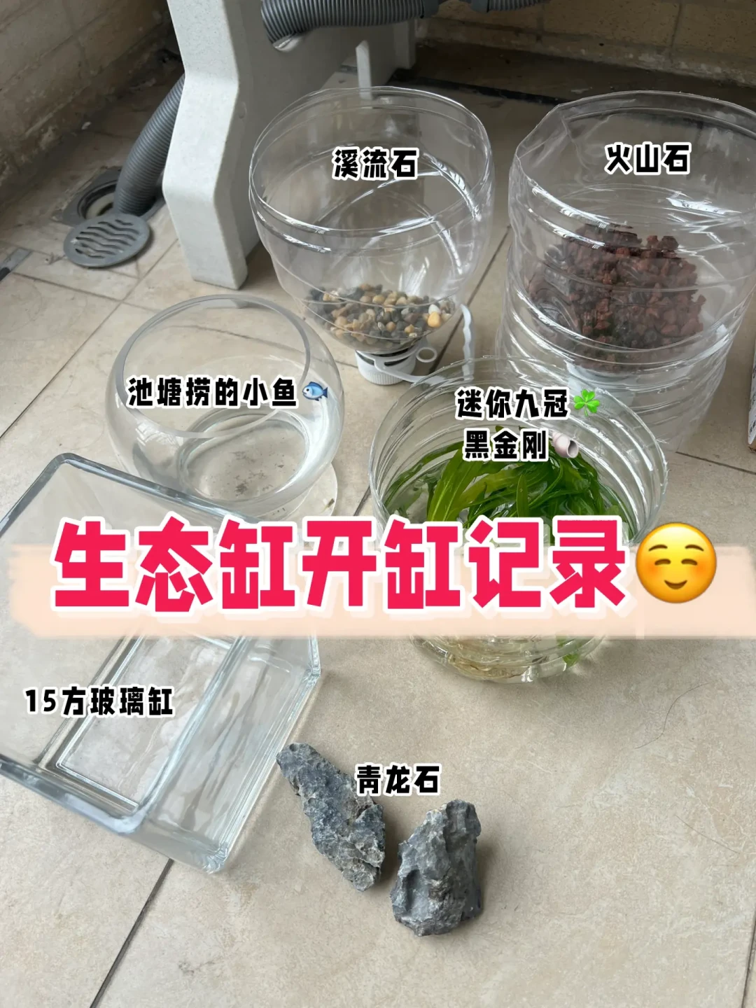 骨架只占全缸花费的一到两成,但买错了整缸报废:秋季开缸前,把水草泥、沉木、石头这笔账算清楚