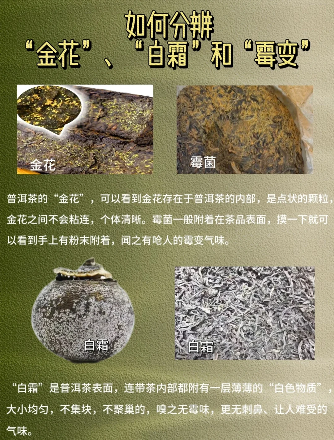 家里翻出一饼老茶还能喝吗：喝掉、扔掉还是继续存，先过这三关