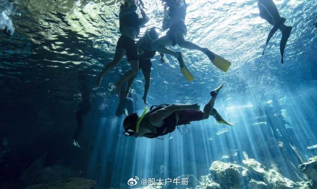 刷完今夏的洞潜视频,我把爆火的梗词条和4起真实事故对了一遍:玩笑没有一个是错的