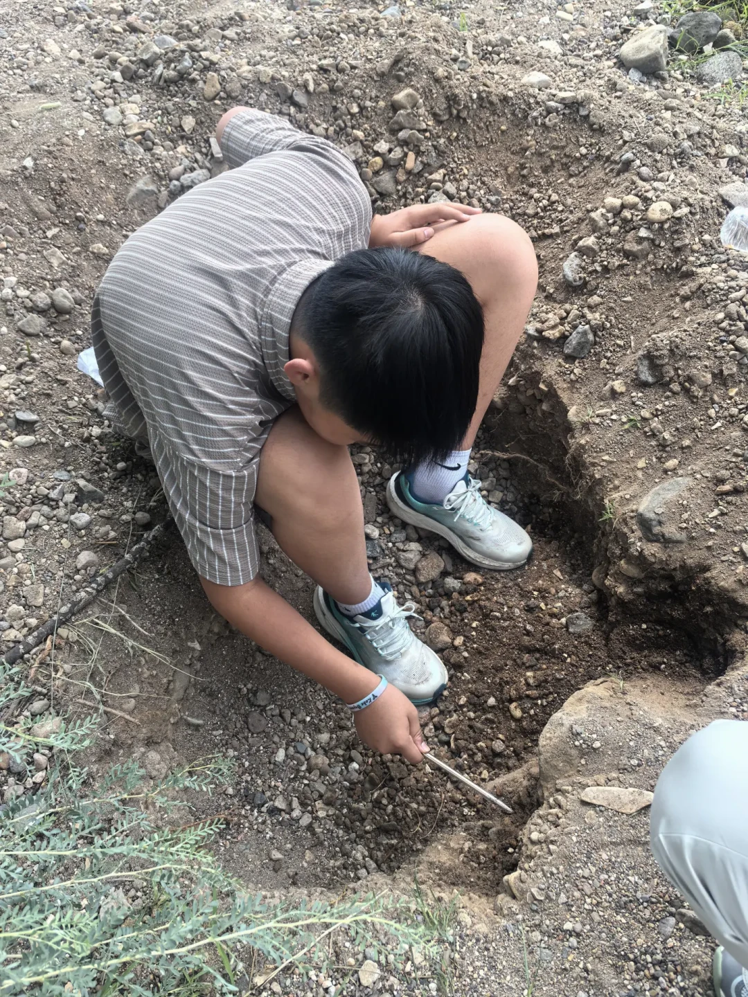 两天4个账号都在“捡翡翠原石”:真捡玉的说“没捡到”,假的全在“切开见绿”