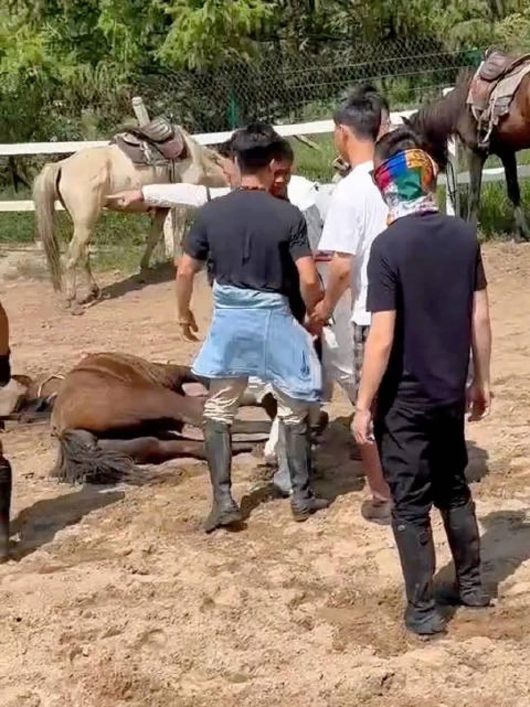 景区骑马,上马前别急着付钱:从今年夏天20多个避雷帖和事故里,提炼出马和马场的危险信号