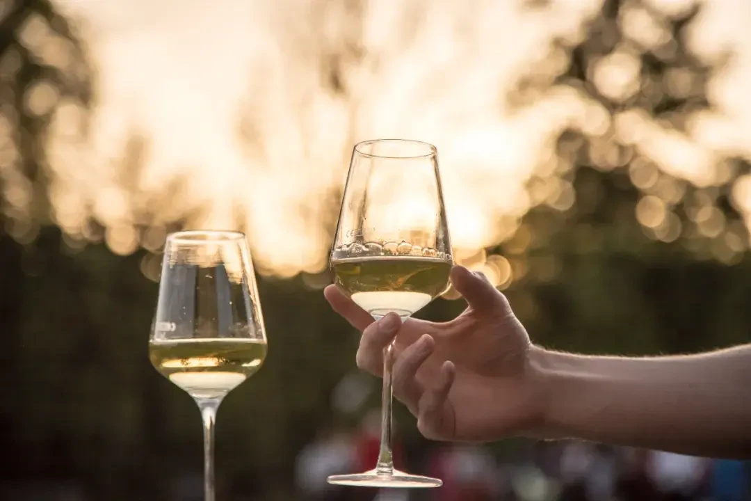 上半年进口酒量降11%、均价却涨13%：廉价餐酒正在退场，白葡萄酒和起泡接棒，下单前先想好走哪条线