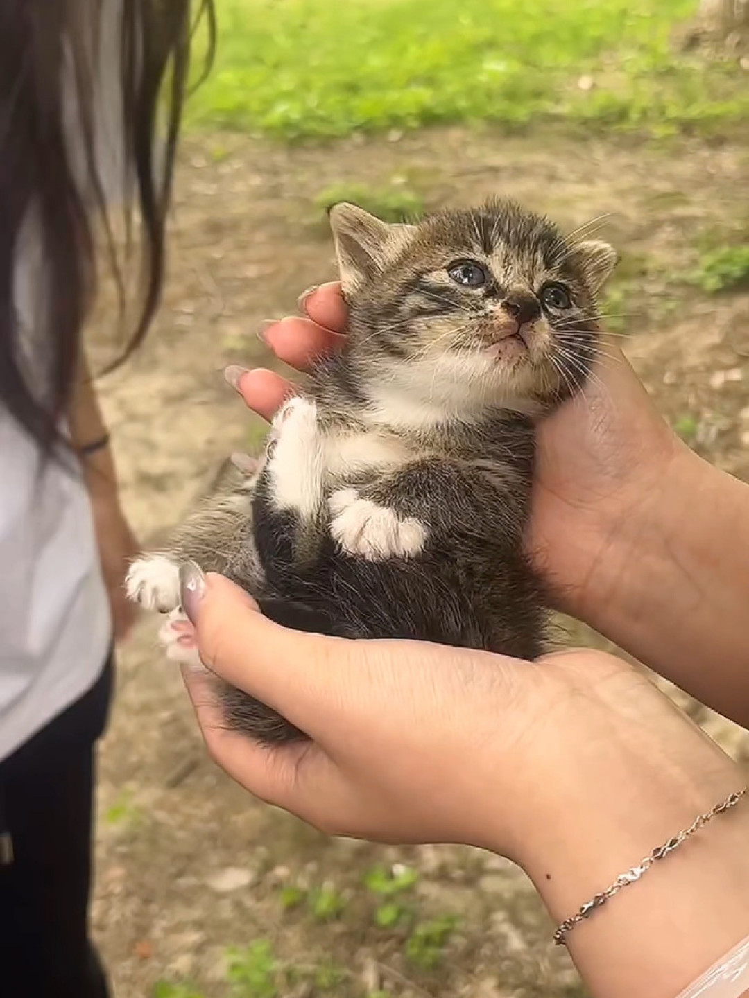 猫不认主人,只认吃的?4个行为学实验给出意外答案