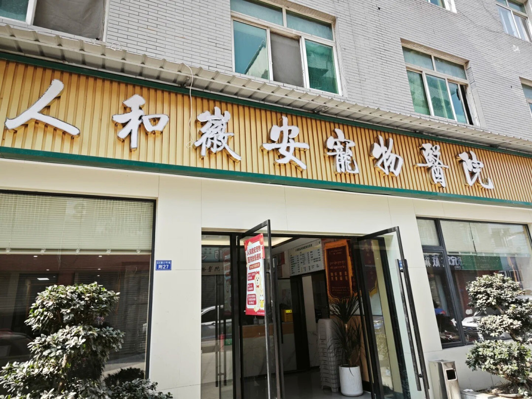 首月1.5元，次月起49.9元月月扣：宠物险退保能拿回多少？先把这两步做干净