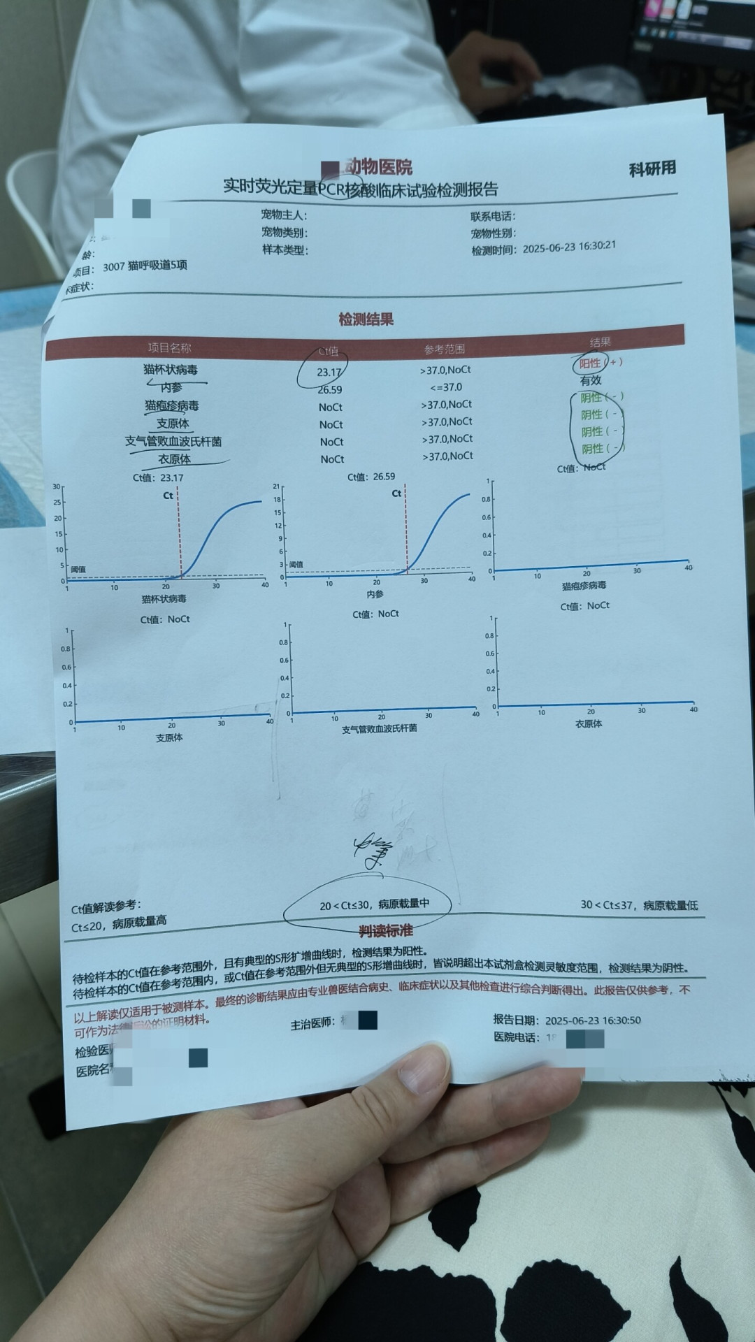 首月1.5元，次月起49.9元月月扣：宠物险退保能拿回多少？先把这两步做干净
