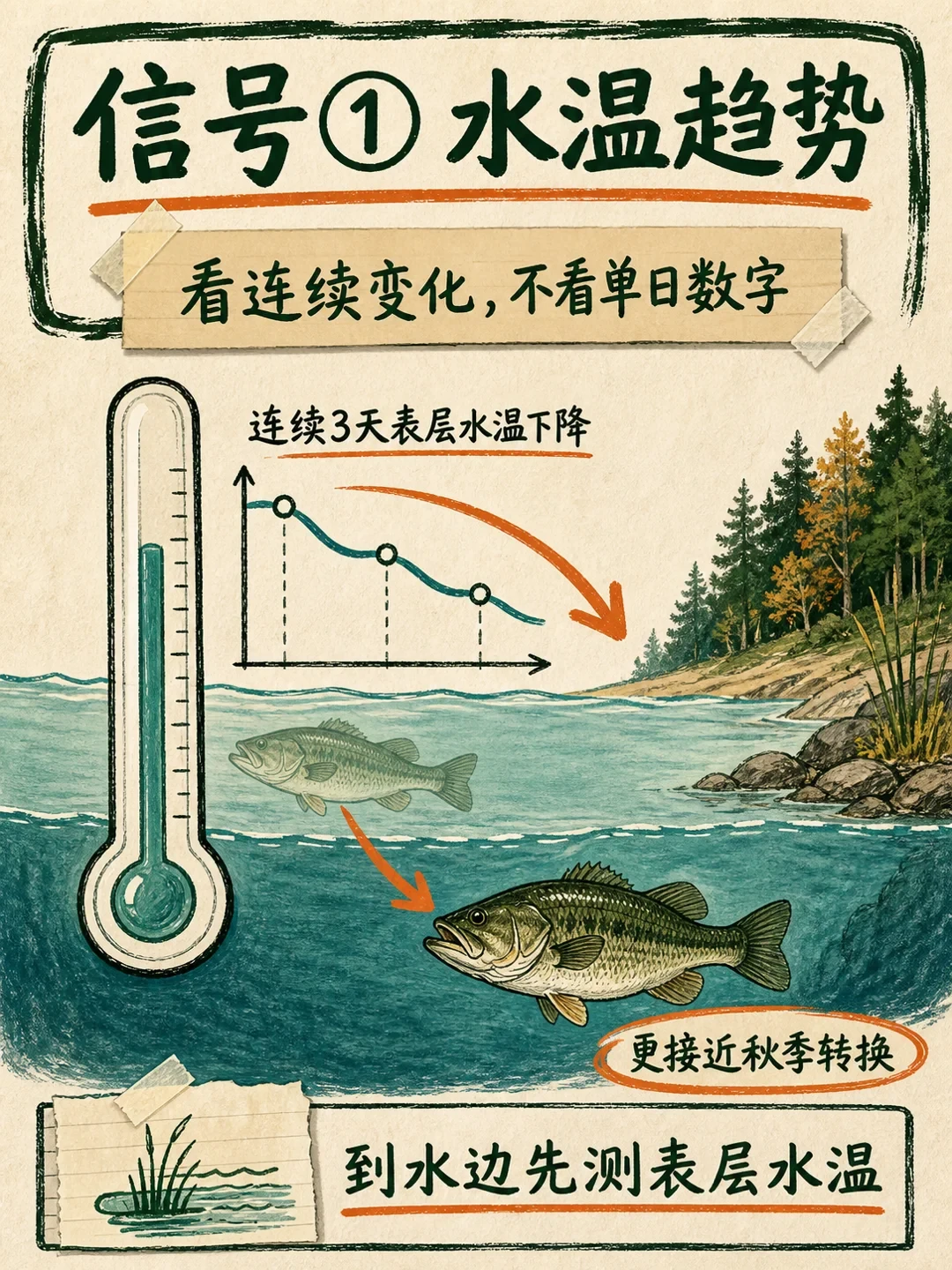日历翻到9月,水里的鱼还没入秋:翻了全网30多条讨论,整理出3个“水体入秋”信号,别急着换装备和饵
