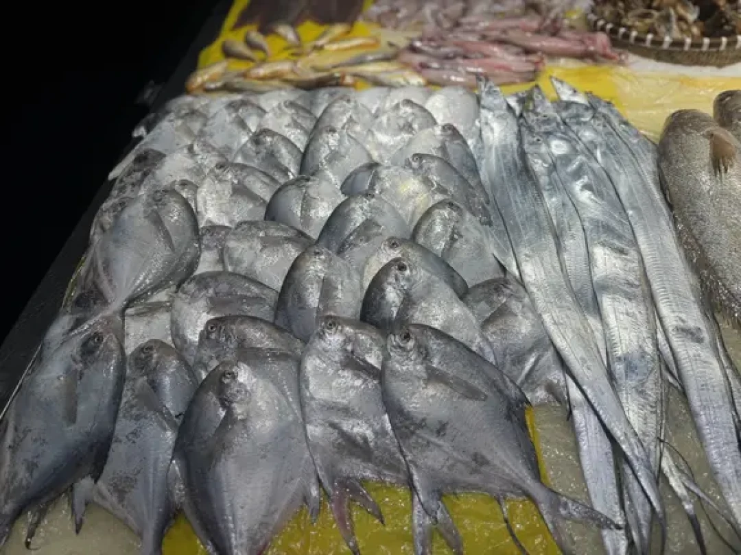 开餐前半小时才通知「虾没到货」:三场台风砸中台州,你的新荣记能不能吃好,关键看9月这个窗口