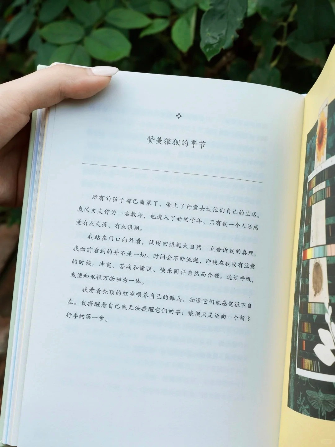 一个月寄一本、人数无上限:未读「试读月」攒下1779条申请,这桩以书换笔记的买卖值不值得排