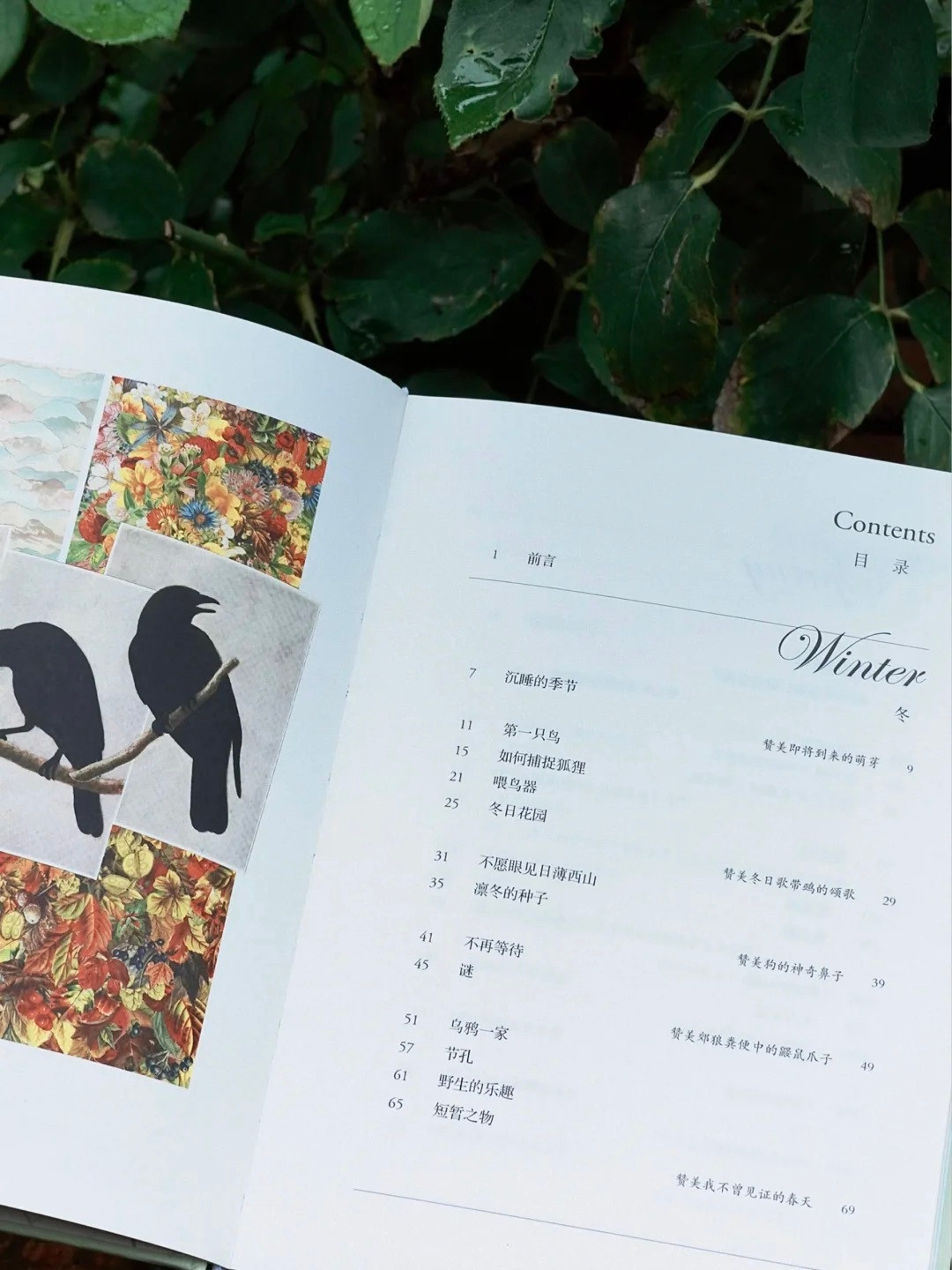一个月寄一本、人数无上限:未读「试读月」攒下1779条申请,这桩以书换笔记的买卖值不值得排
