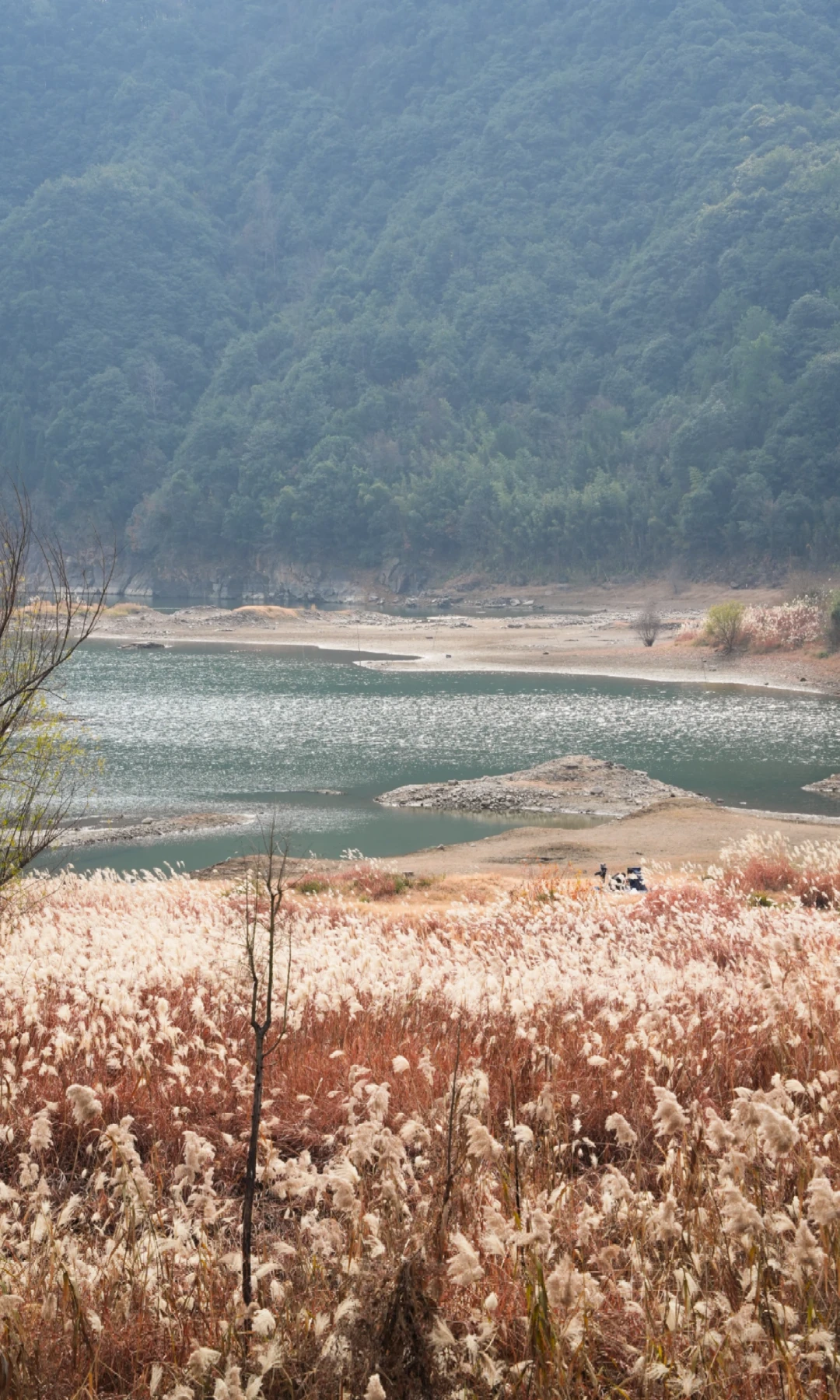 新渔业法落地后的第一个咬钩季:先查钩、再查水、最后查钱包——路亚新手这三笔账,一次算完